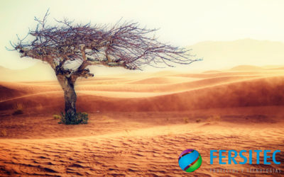 5 formas sencillas de reducir tu huella ecológica.
