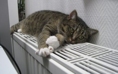 Se acaba el verano… ¿ya no pongo aire acondicionado? (Parte II): Bombas de calor